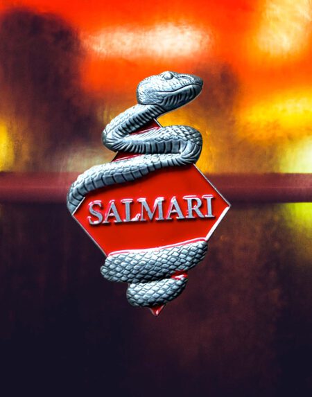 Salmari Snake Pin